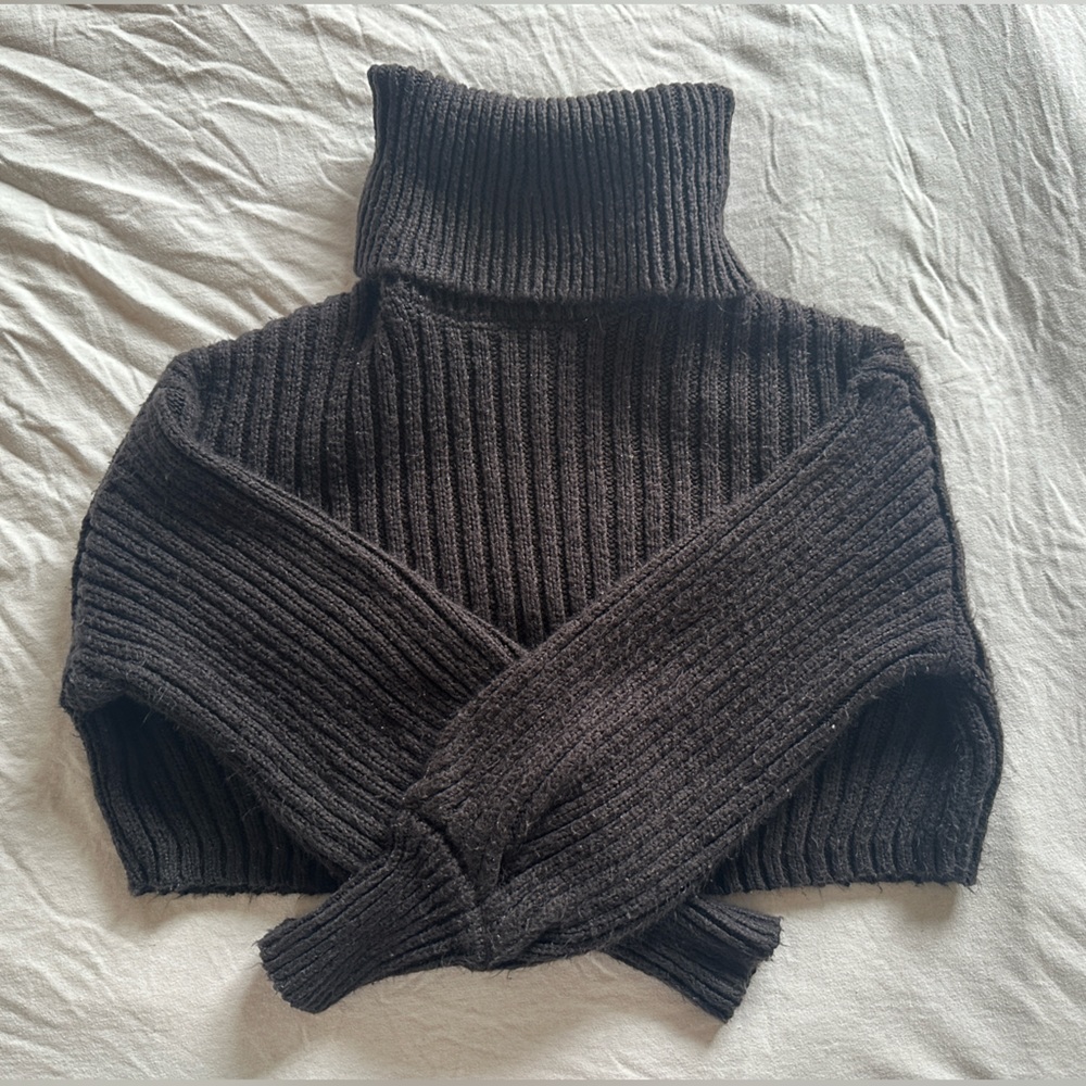 UO Mia Turtleneck Cropped Sweater